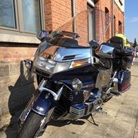 registerd user picture 2