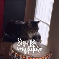 registerd user picture 3