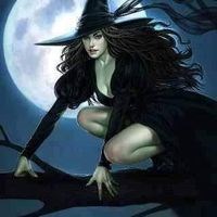 registerd user picture 2