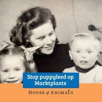 registerd user picture 1