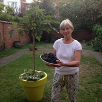 registerd user picture 3