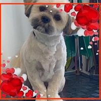 registerd user picture 1