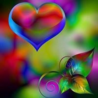 registerd user picture 2