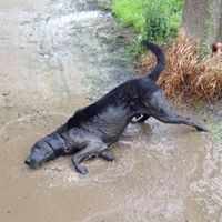 registerd user picture 3