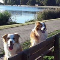 registerd user picture 1