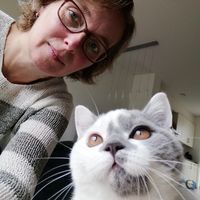 registerd user picture 2