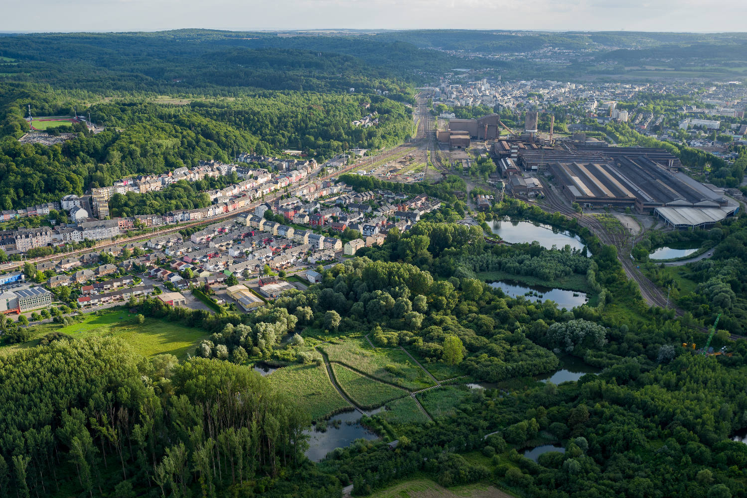 Banner of Commune de Schifflange