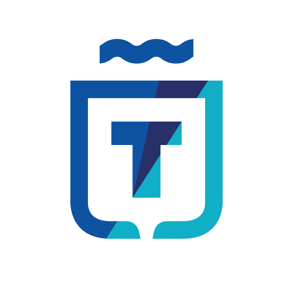 the icon logo of gemeente Terneuzen