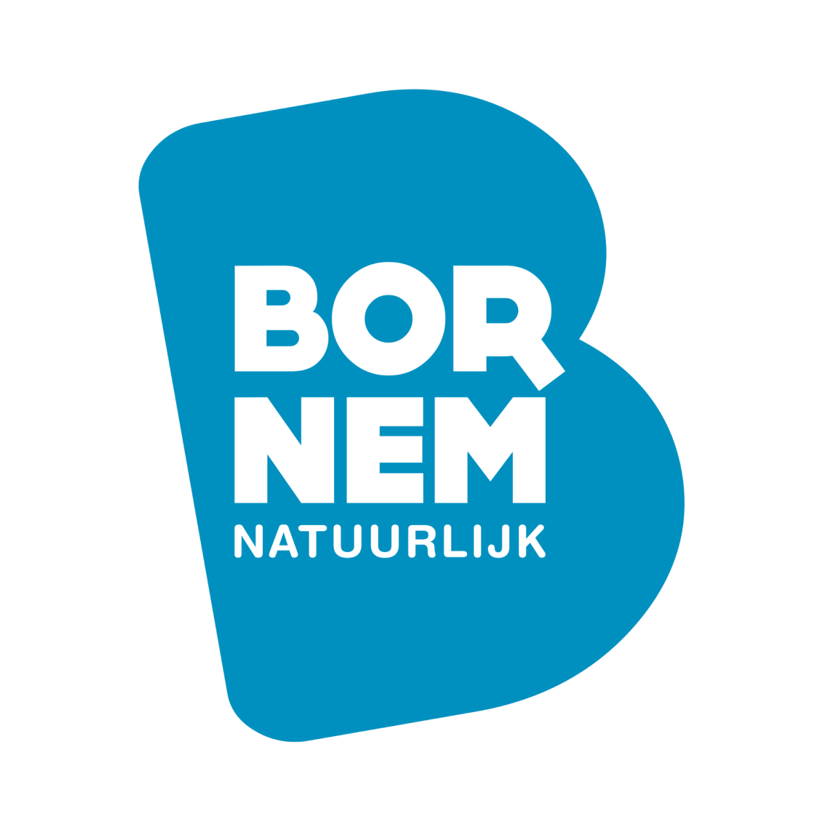 the icon logo of Gemeente Bornem