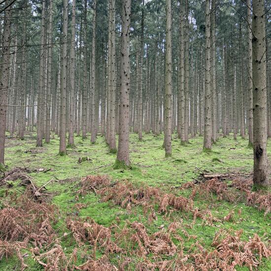 registerd user picture 2