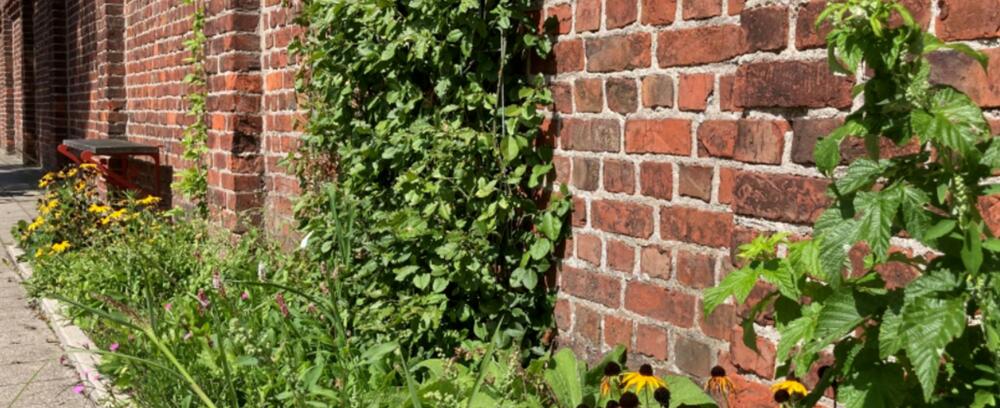 Veilige en Groene Kroonmolenwijk