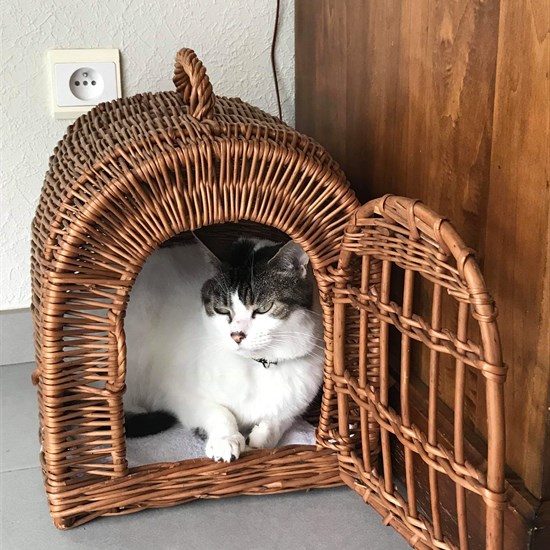 registerd user picture 1