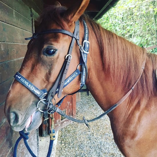 registerd user picture 1