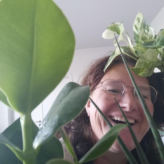 registerd user picture 1