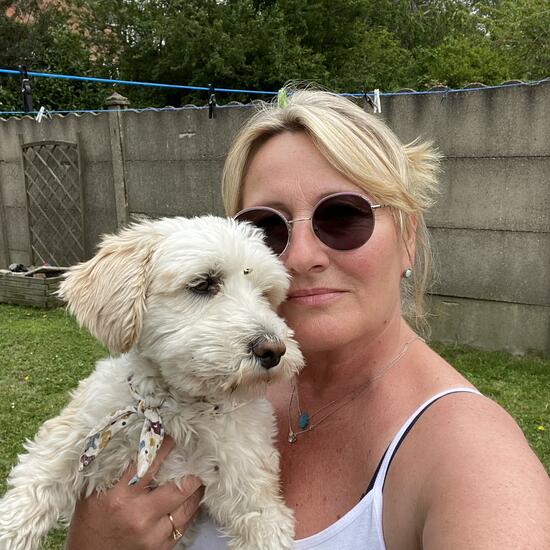 registerd user picture 3