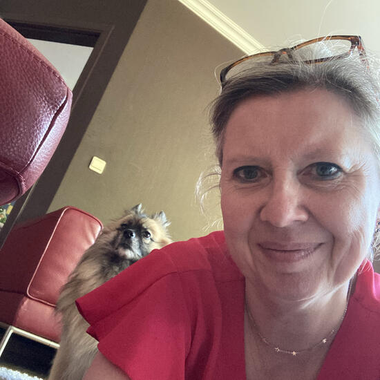 registerd user picture 2