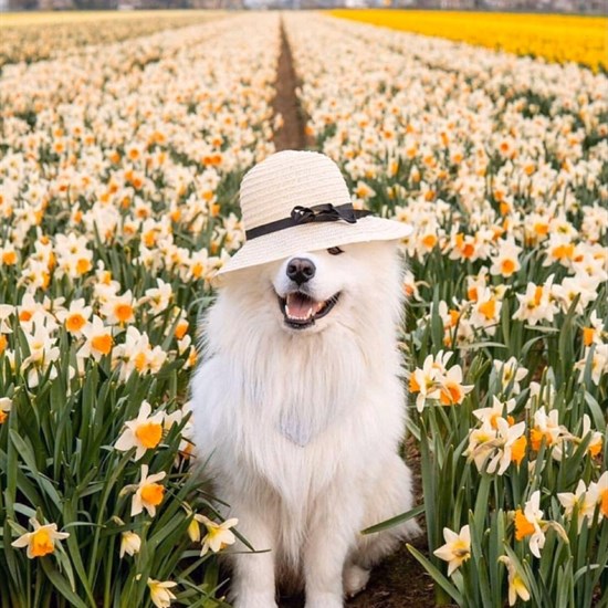 registerd user picture 2