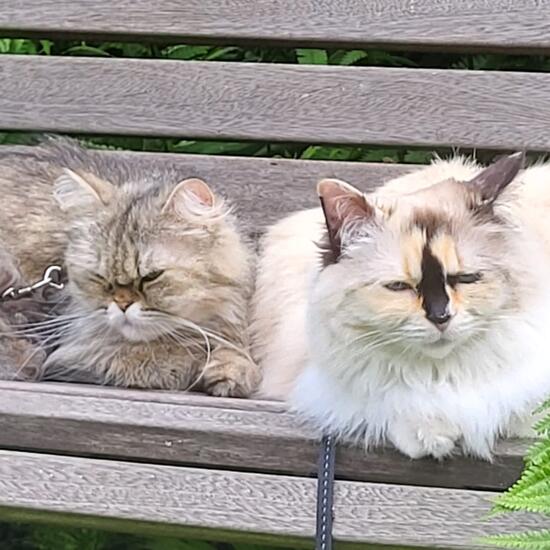 registerd user picture 1