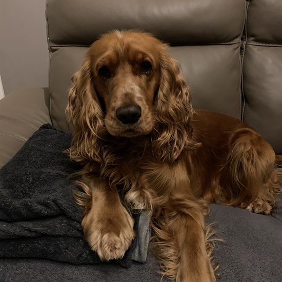 registerd user picture 1