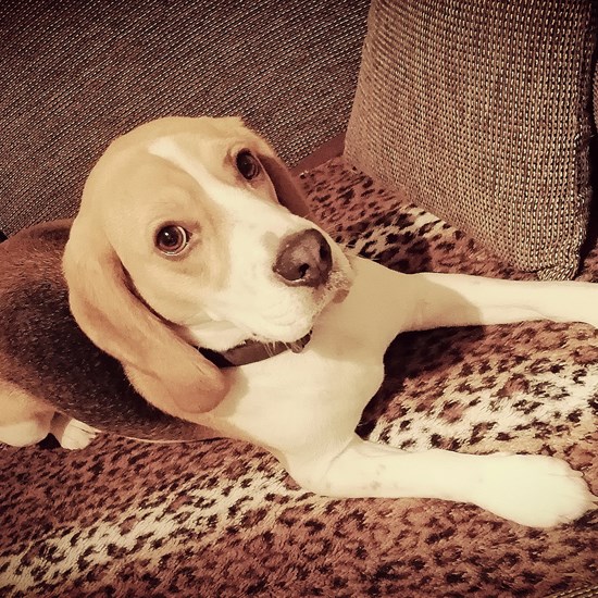 registerd user picture 3