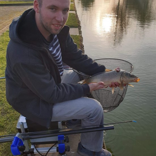 registerd user picture 2