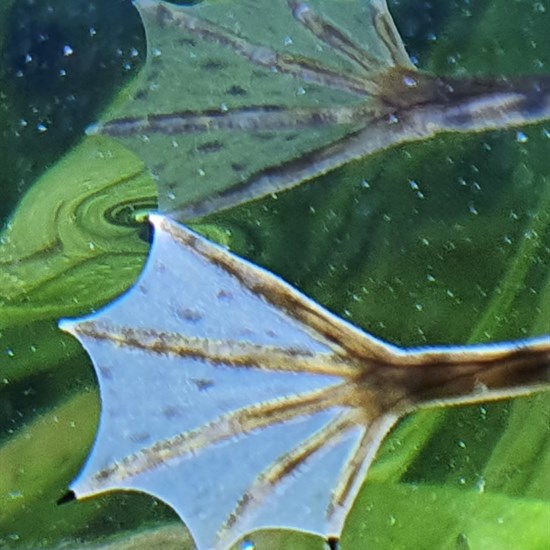 registerd user picture 3