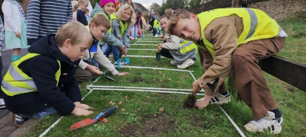 4.000 krokussen voor Nieuwkapelle