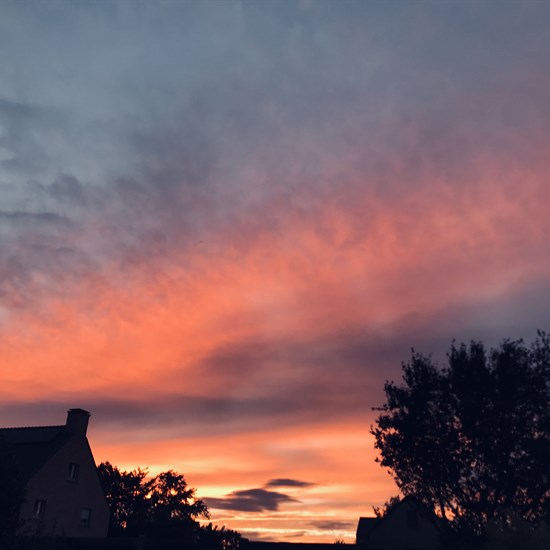 registerd user picture 3