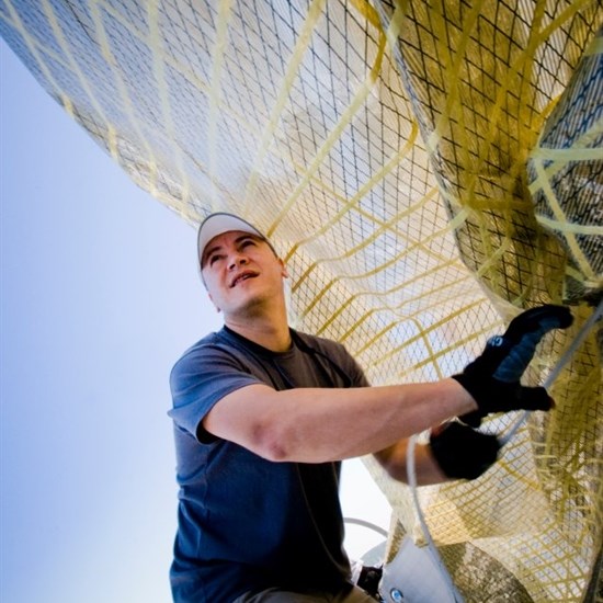 registerd user picture 2