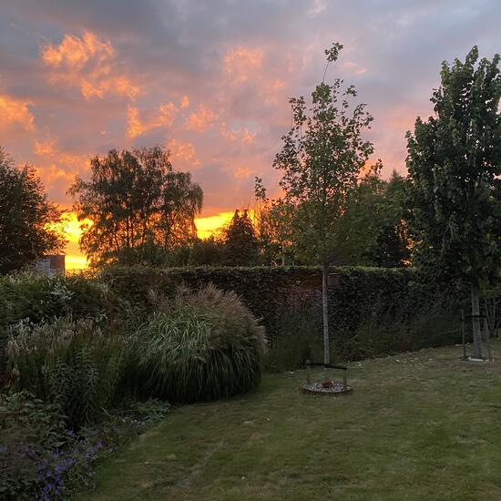 registerd user picture 3