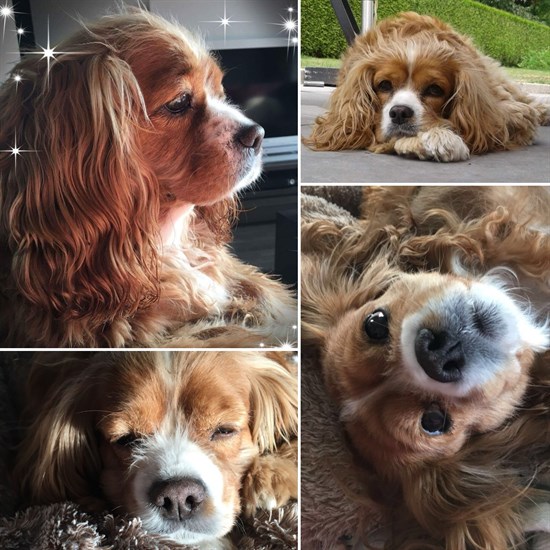 registerd user picture 3