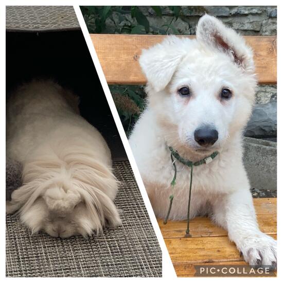 registerd user picture 2