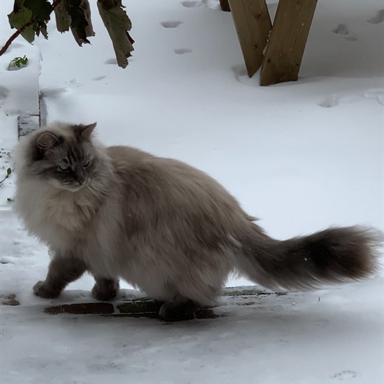 registerd user picture 1