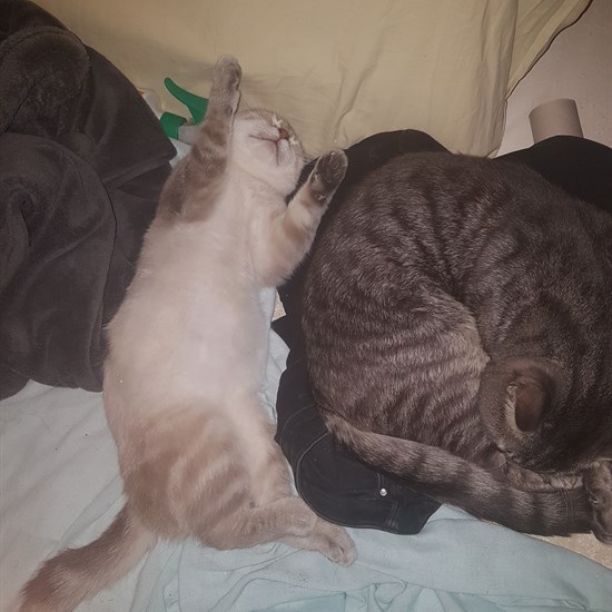 registerd user picture 3