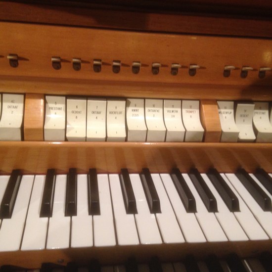 registerd user picture 2