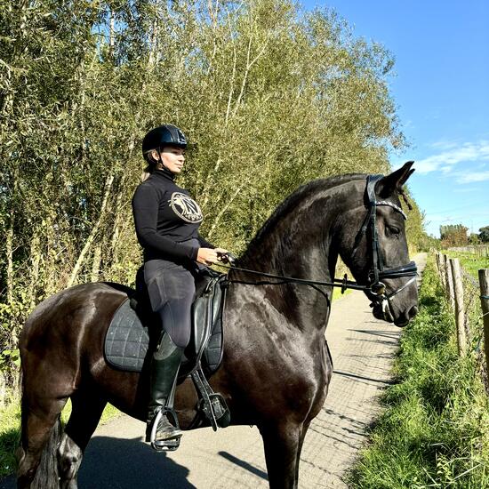 registerd user picture 3