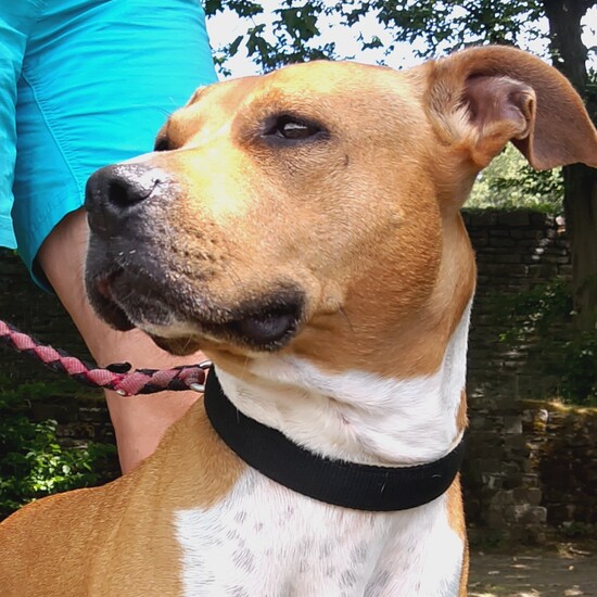 registerd user picture 1