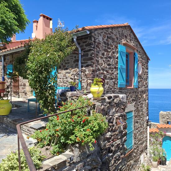 registerd user picture 1