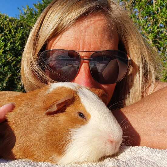 registerd user picture 2