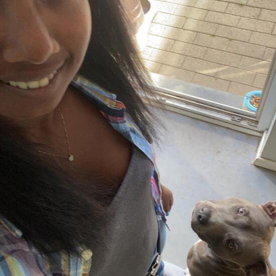 registerd user picture 3