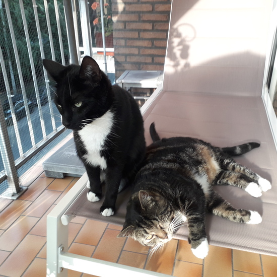 registerd user picture 1