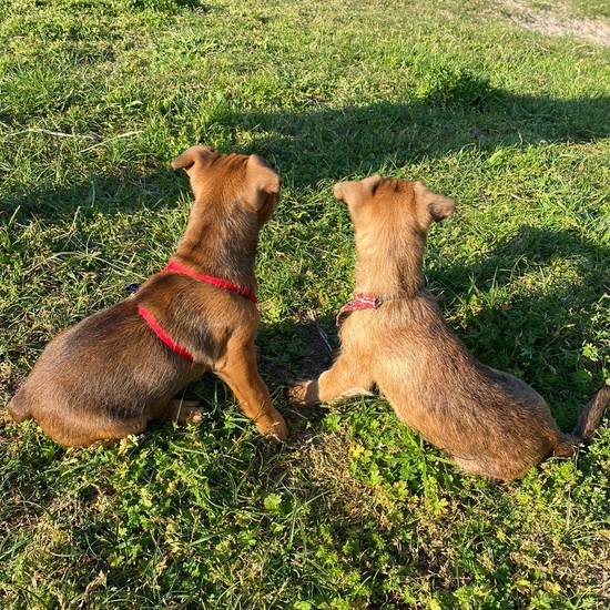 registerd user picture 3