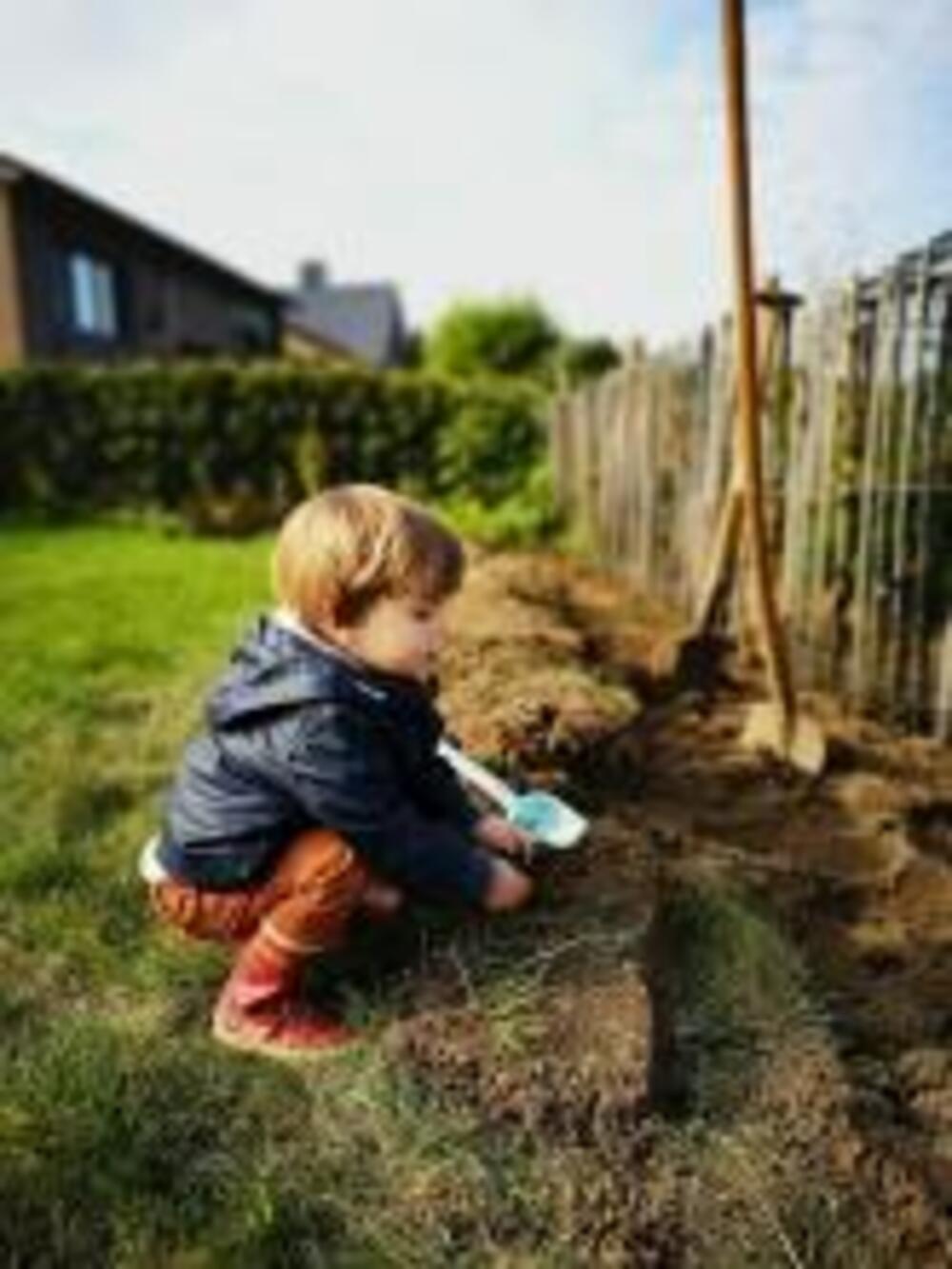 Belangengroep Milieu