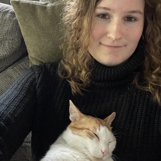 registerd user picture 2