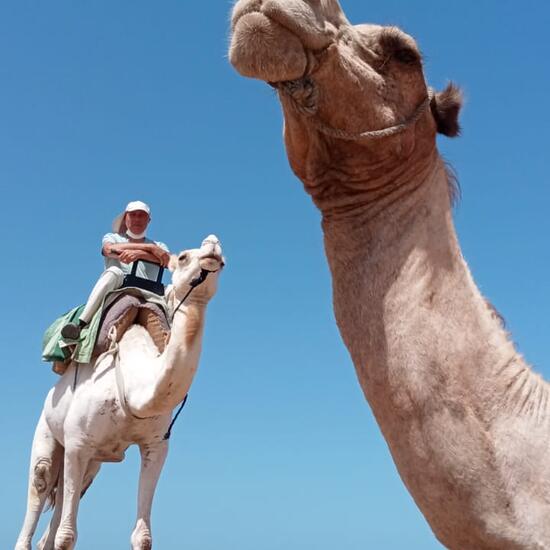 registerd user picture 1