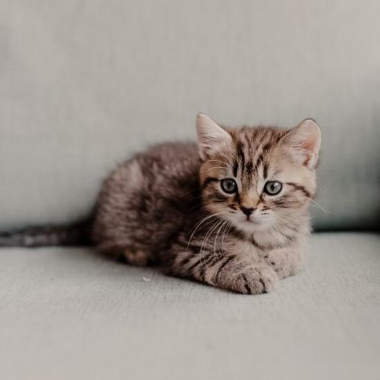 registerd user picture 2