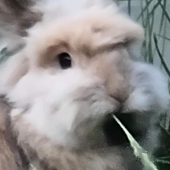 registerd user picture 1