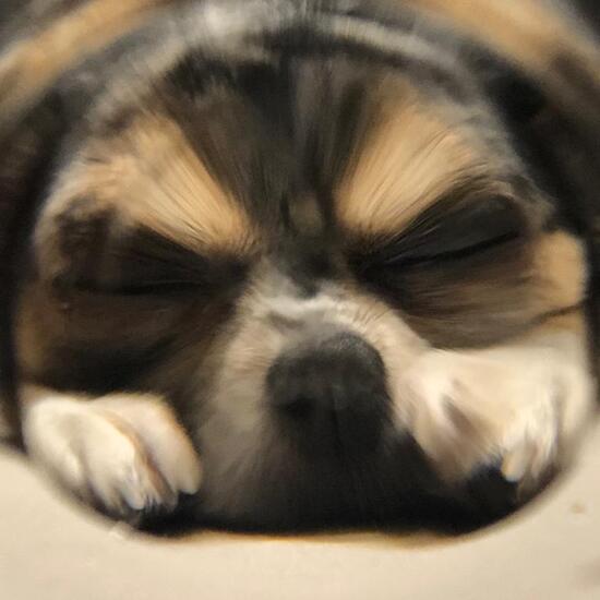 registerd user picture 3