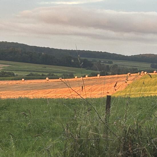 registerd user picture 1