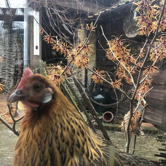 registerd user picture 3